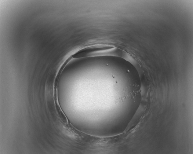 X0000079320148200611251813