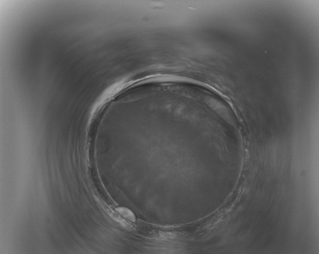 X0000079320149200611251813