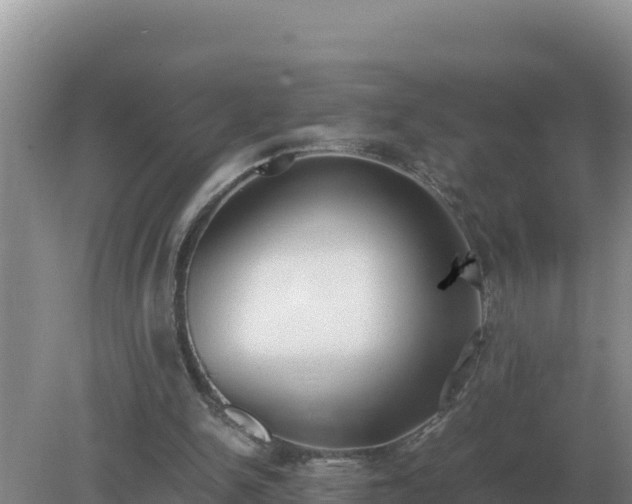 X0000079320150200611251813