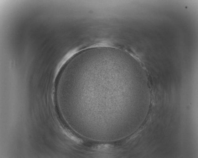 X0000079320152200611251813