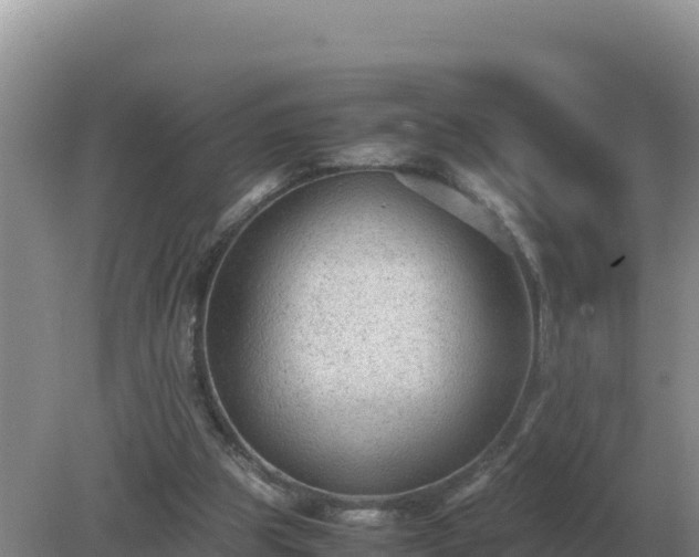 X0000079320153200611251813