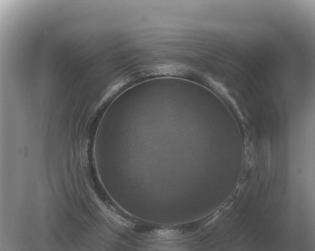 X0000079320154200611251813