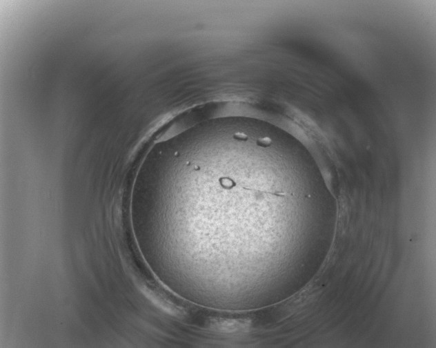 X0000079320155200611251813