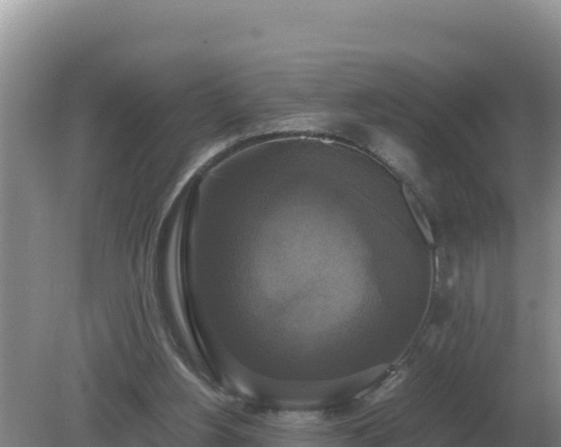 X0000079320156200611251813