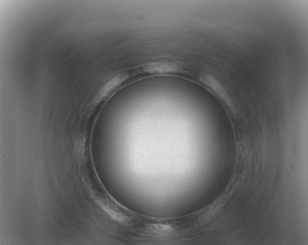 X0000079320159200611251813