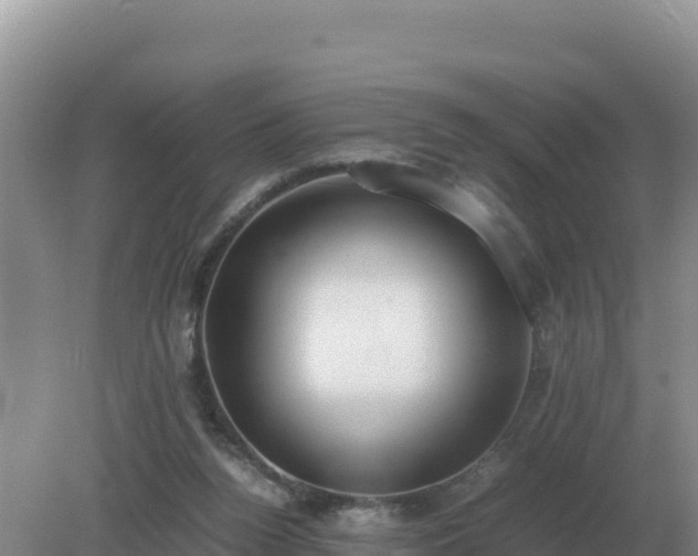 X0000079320160200611251813