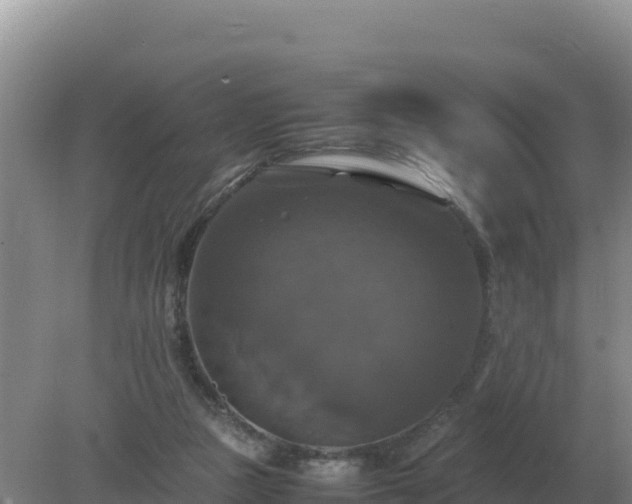 X0000079320161200611251813