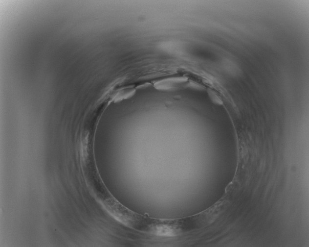 X0000079320163200611251814