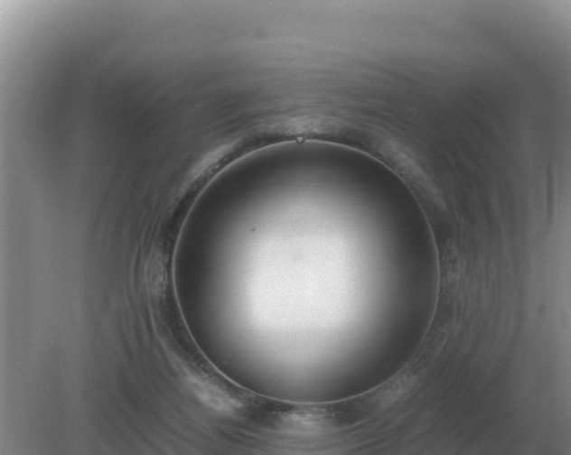 X0000079320164200611251814