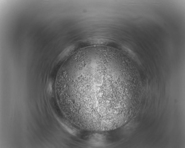 X0000079320166200611251814