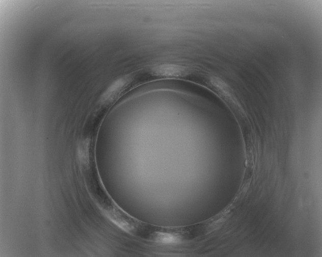 X0000079320167200611251814