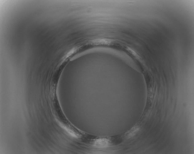 X0000079320168200611251814