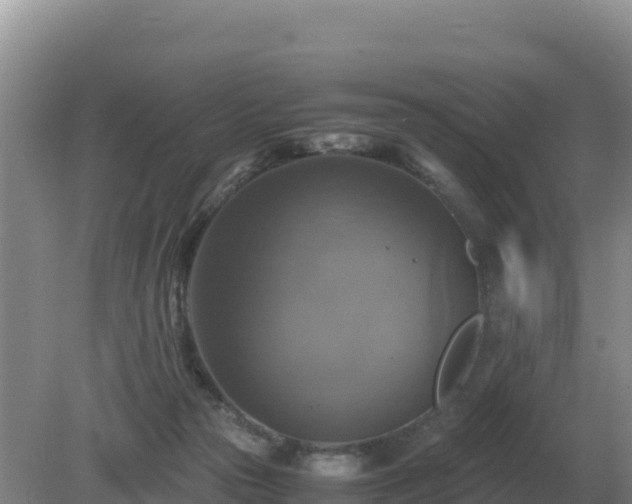 X0000079320169200611251814