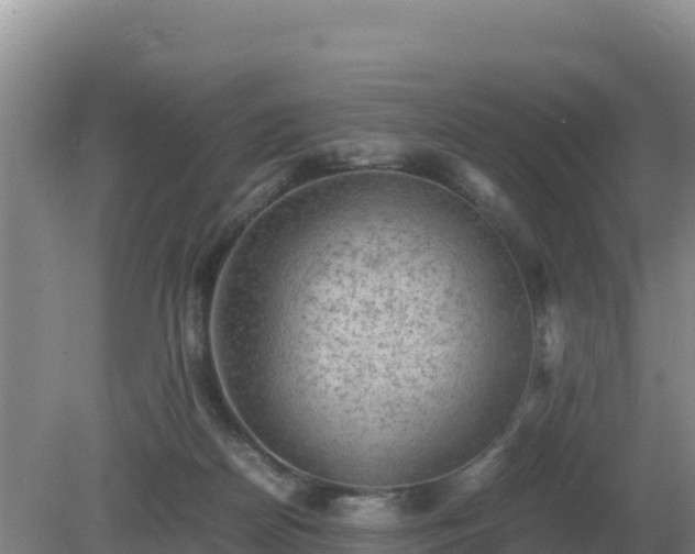 X0000079320170200611251814