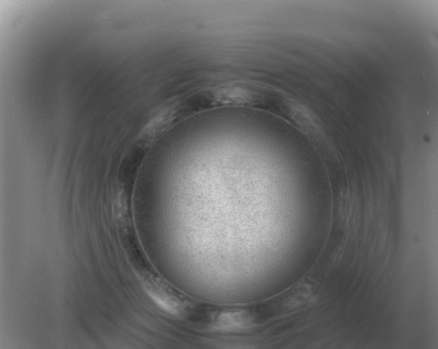 X0000079320173200611251814