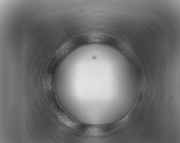 X0000079320174200611251814