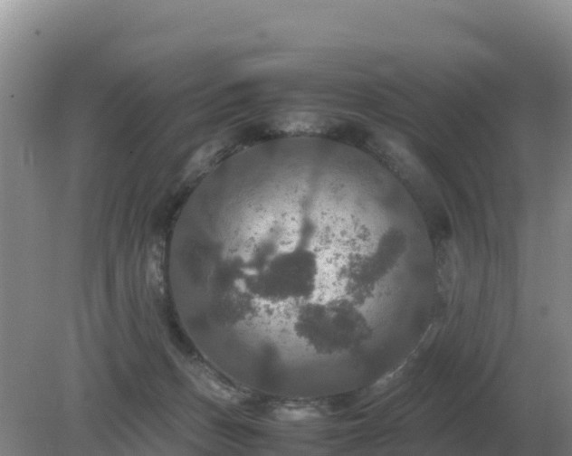 X0000079320175200611251814