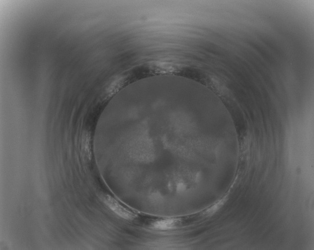 X0000079320178200611251814