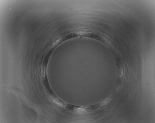 X0000079320180200611251814