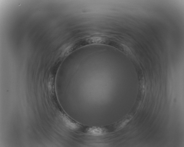 X0000079320181200611251814