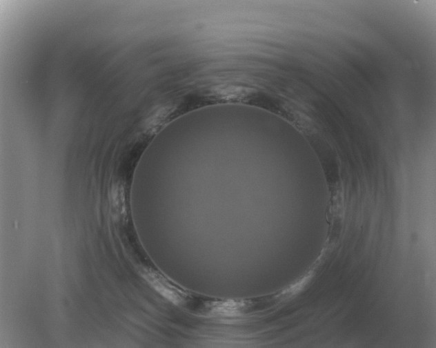 X0000079320182200611251814