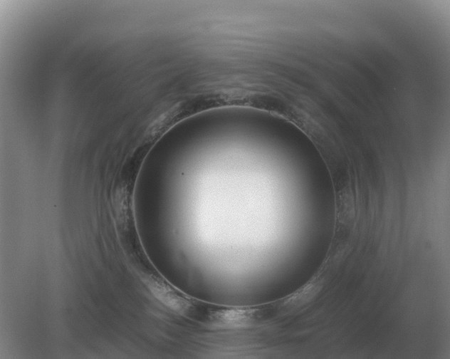 X0000079320184200611251814