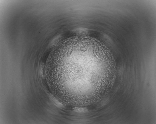 X0000079320185200611251814