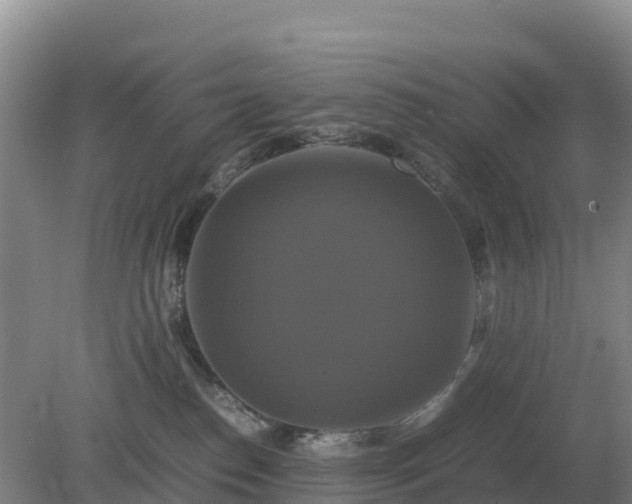 X0000079320186200611251814