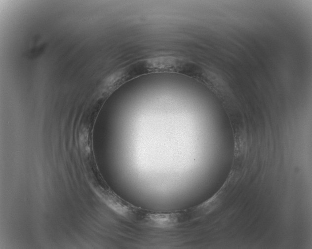 X0000079320187200611251814