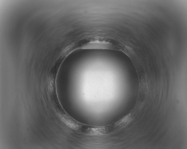 X0000079320188200611251814