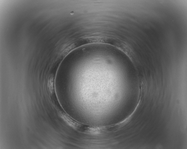 X0000079320190200611251814