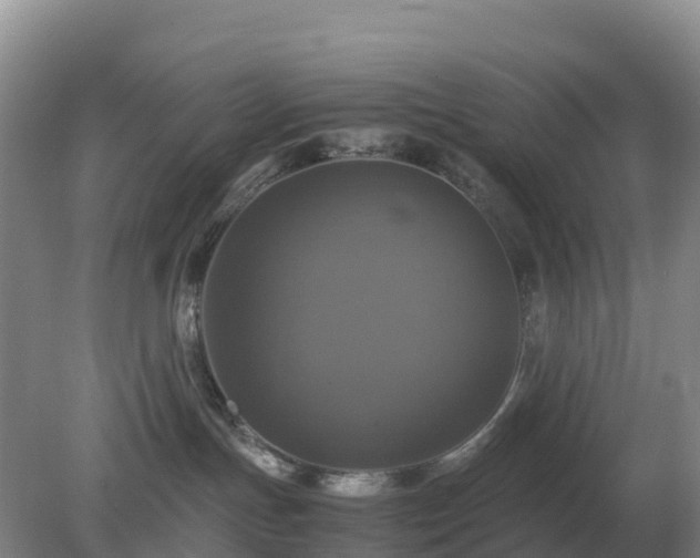 X0000079320191200611251814