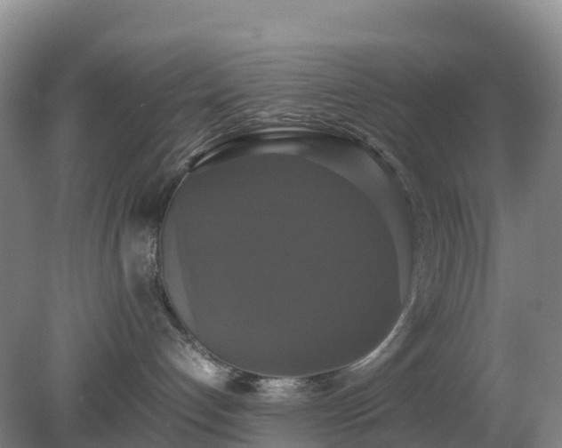 X0000079320192200611251814