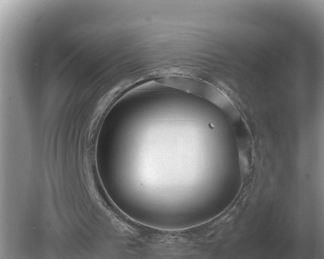 X0000079320193200611251813