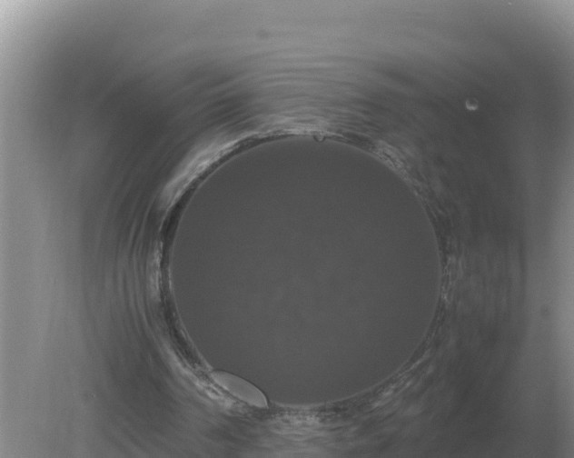 X0000079320194200611251813