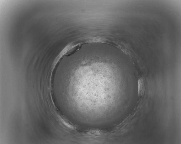 X0000079320195200611251813