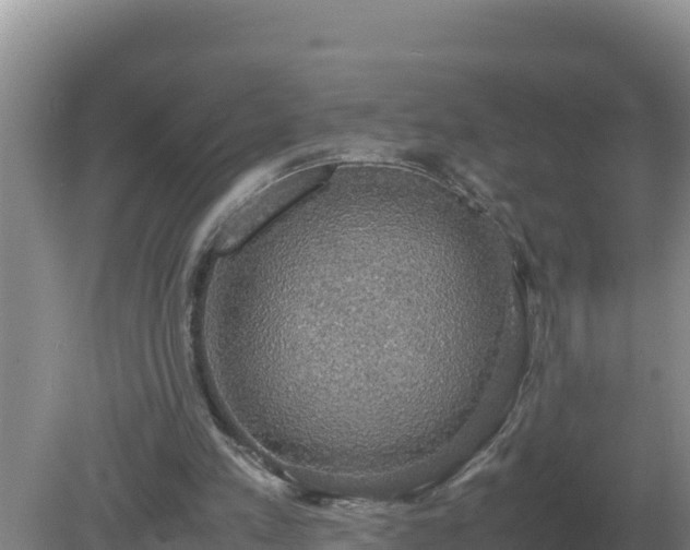 X0000079320197200611251813