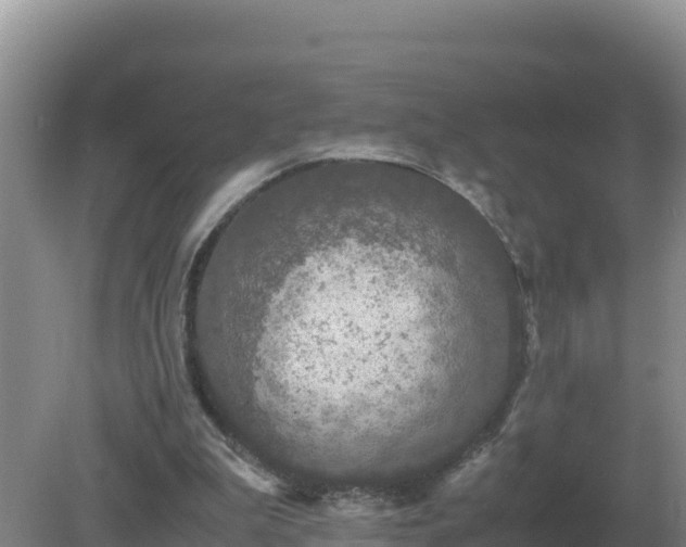 X0000079320199200611251813