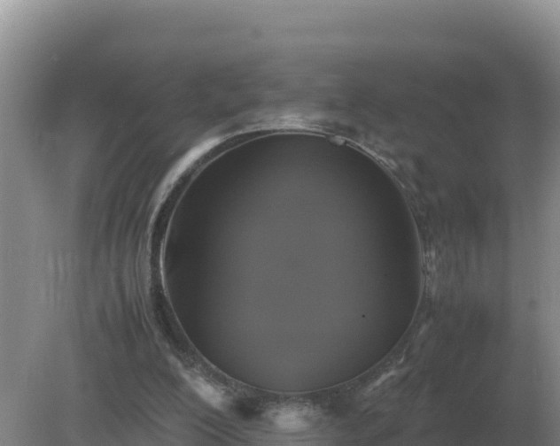 X0000079320200200611251813