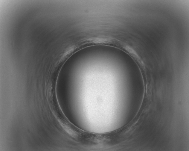 X0000079320201200611251813