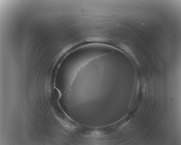 X0000079320204200611251813