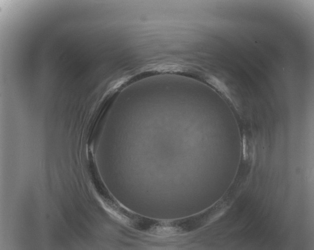 X0000079320205200611251813