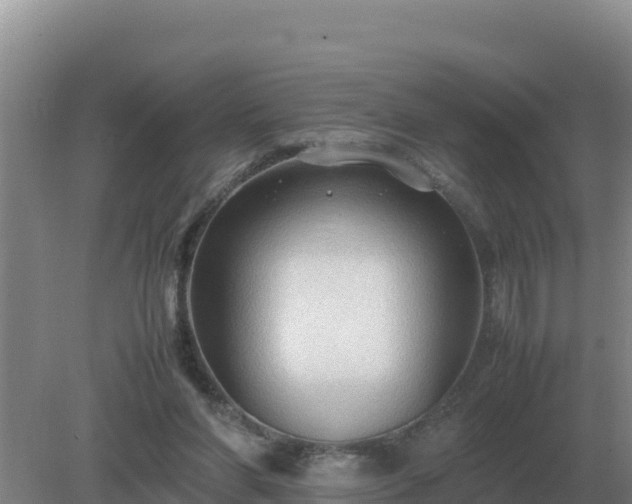 X0000079320206200611251813