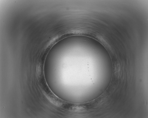 X0000079320208200611251813