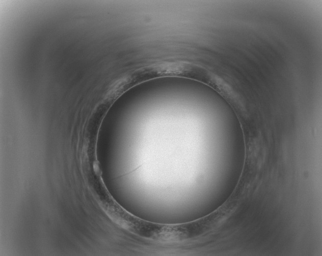 X0000079320209200611251813