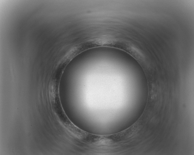 X0000079320210200611251813