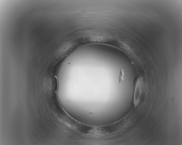 X0000079320211200611251813