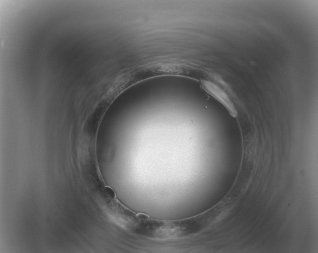 X0000079320213200611251813