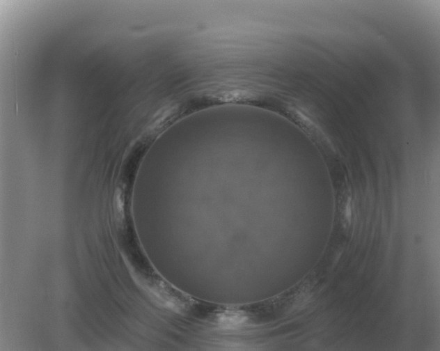 X0000079320214200611251813