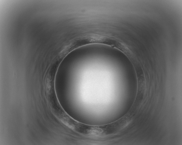 X0000079320215200611251813